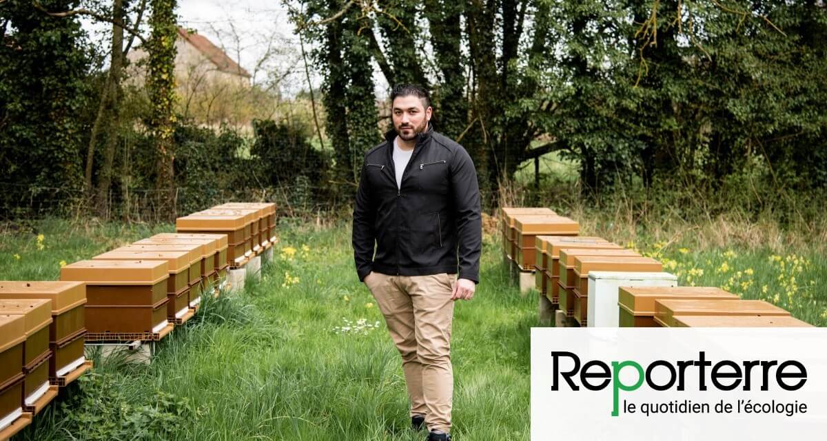 5 millions d'abeilles tuées, un pesticide soupçonné | Générations Cobayes