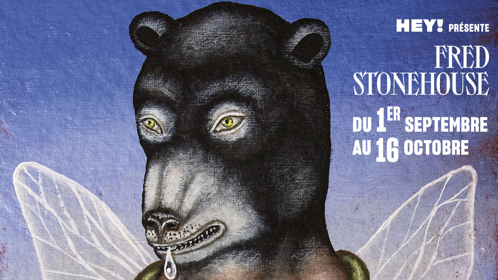 FRED STONEHOUSE - Magic's Bonds | HEY!