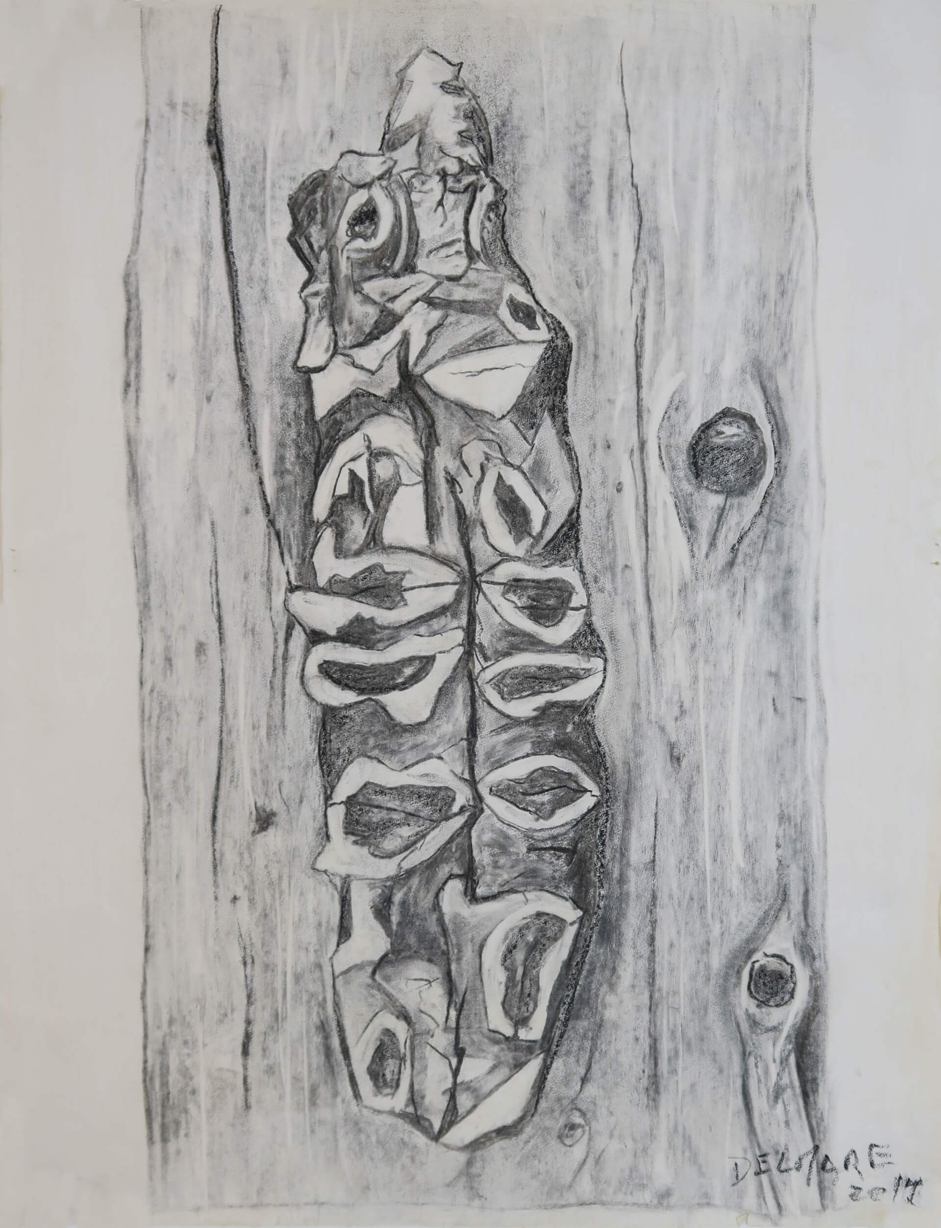 ECORCE | Eric Delmare