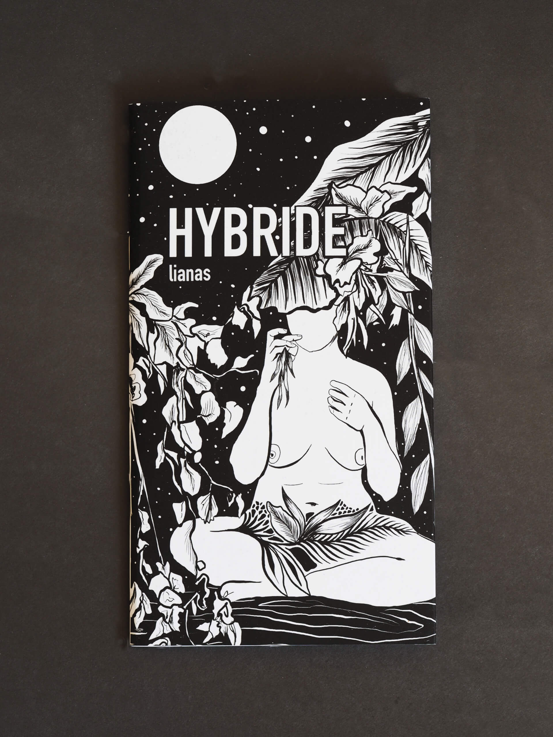 Hybride | Liana Perez
