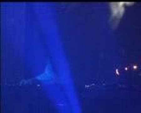 DJ Shadow-In Tune and on time (part 1)