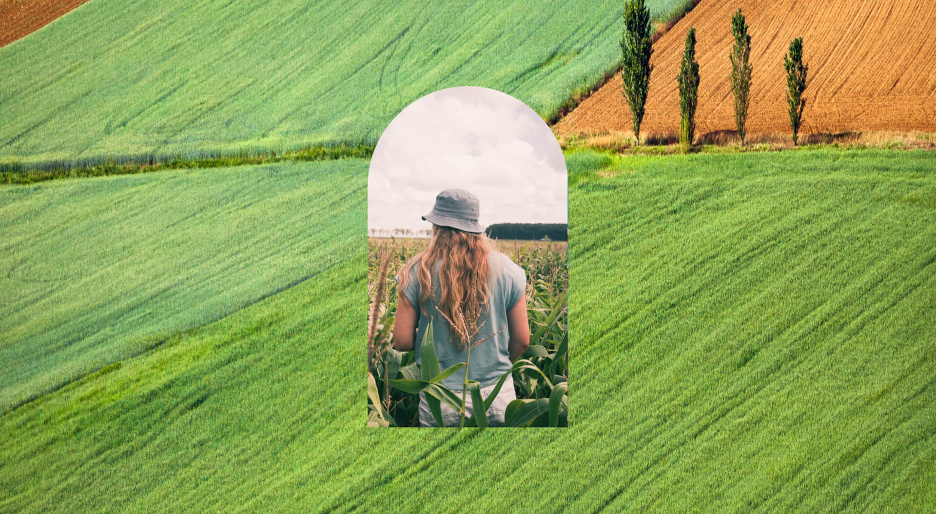 L'Outil en main | What The Web