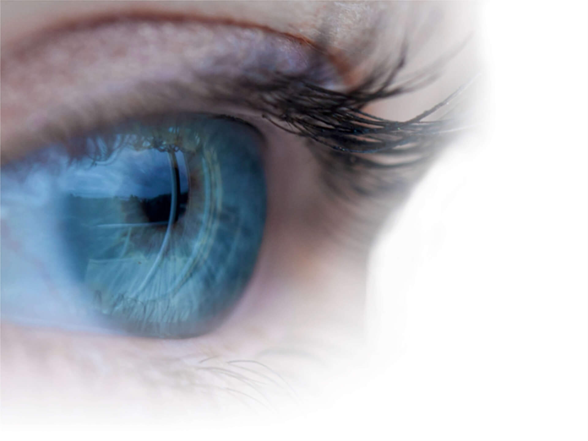 Avenant 7 + Flash : La consultation | Alizé - Syndicat de kinésithérapeutes