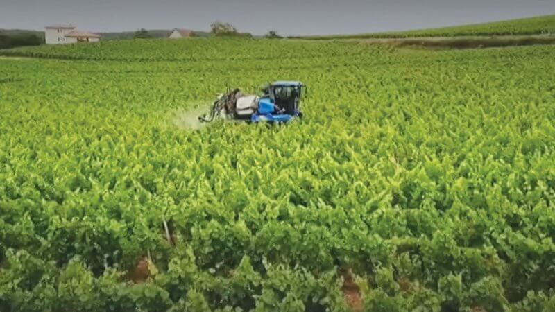 Pesticides, la plaie des champs Pesticides, la plaie des champs | Générations Cobayes