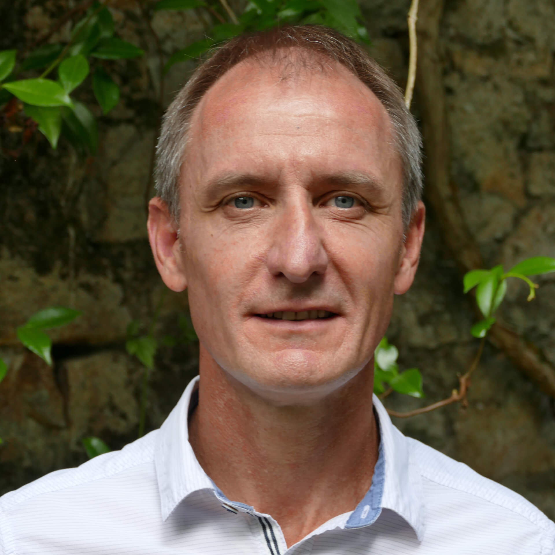 Marchand, P. | IICIMED