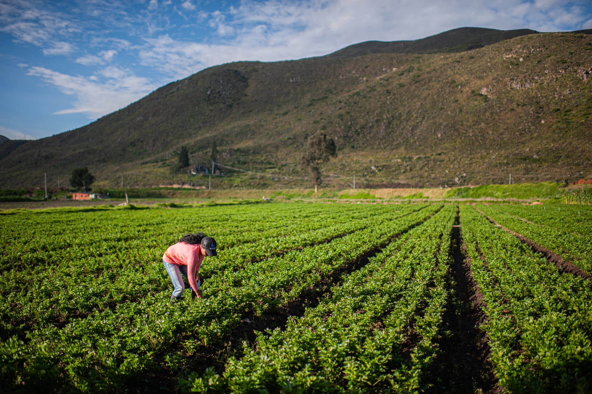 Communiqué of the Confederación Colombiana de ONG - CCONG on the Fourth Finance in Common Summit | Forus