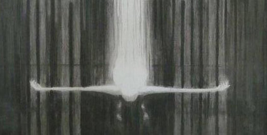 الخوف من الحرية.. حتى في الغربة | Babelmed