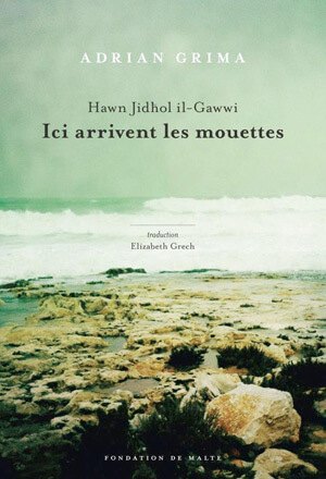 Ici arrivent les mouettes | Babelmed