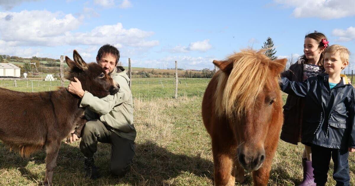 Hilbesheim. Cure de nature avec les animaux de la ferme Contrée des minis à Hilbesheim | La contrée des minis