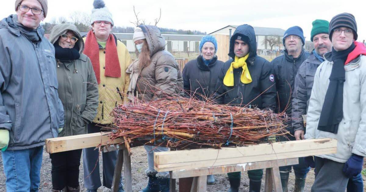 Hilbesheim. La Contrée des Minis offre le logis aux cigognes | La contrée des minis