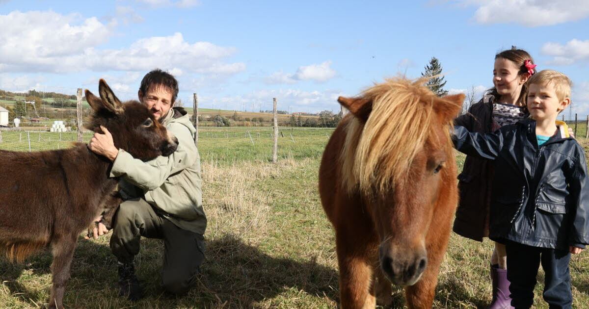 Hilbesheim. À la Contrée des minis, on grandit au contact des tout-petits animaux | La contrée des minis