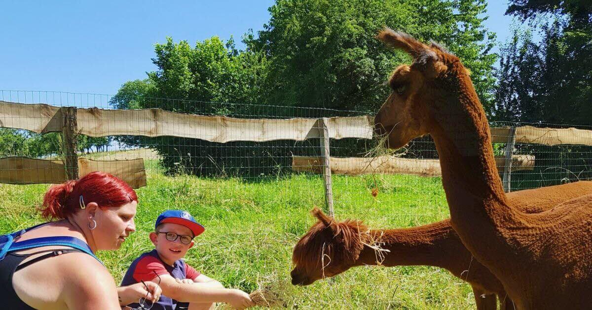 Photos. Hilbesheim : découvrez le monde des animaux miniatures ce week-end | La contrée des minis
