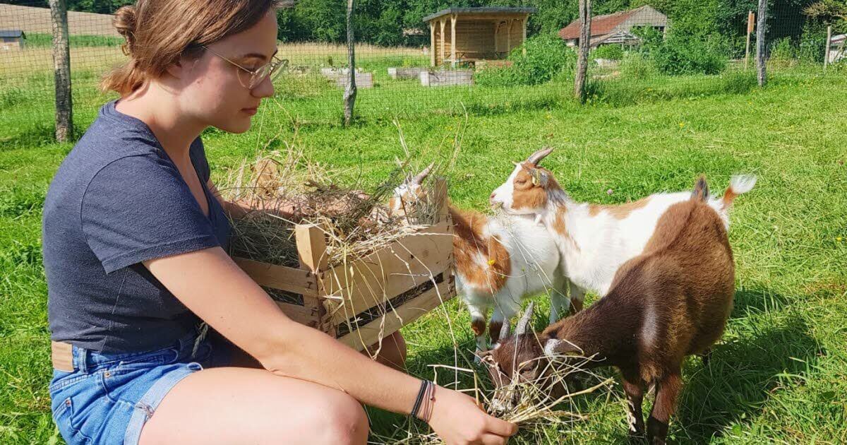 Hilbesheim. Portes ouvertes : connaissez-vous la Contrée des minis ? | La contrée des minis