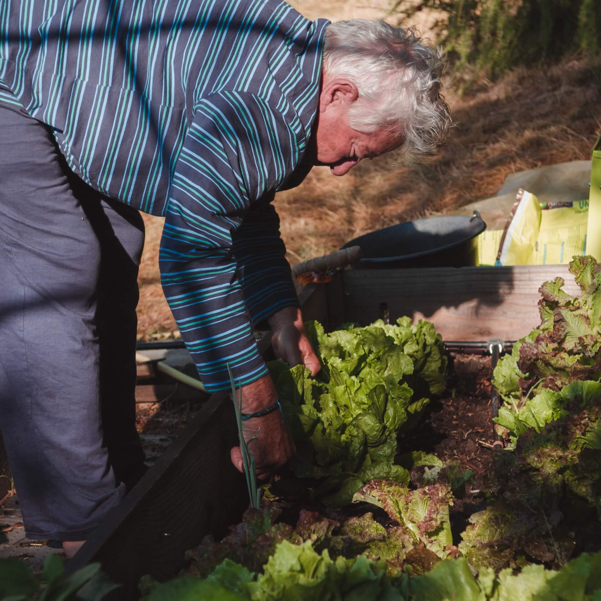FRS - Foncière Rurale Solidaire