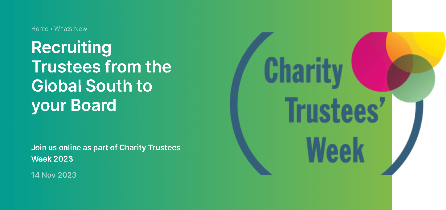 Dochas - panel discussion on  recruiting trustees from the global south to your board | Forus