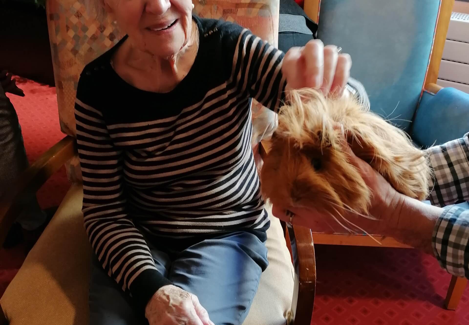 La contrée des minis