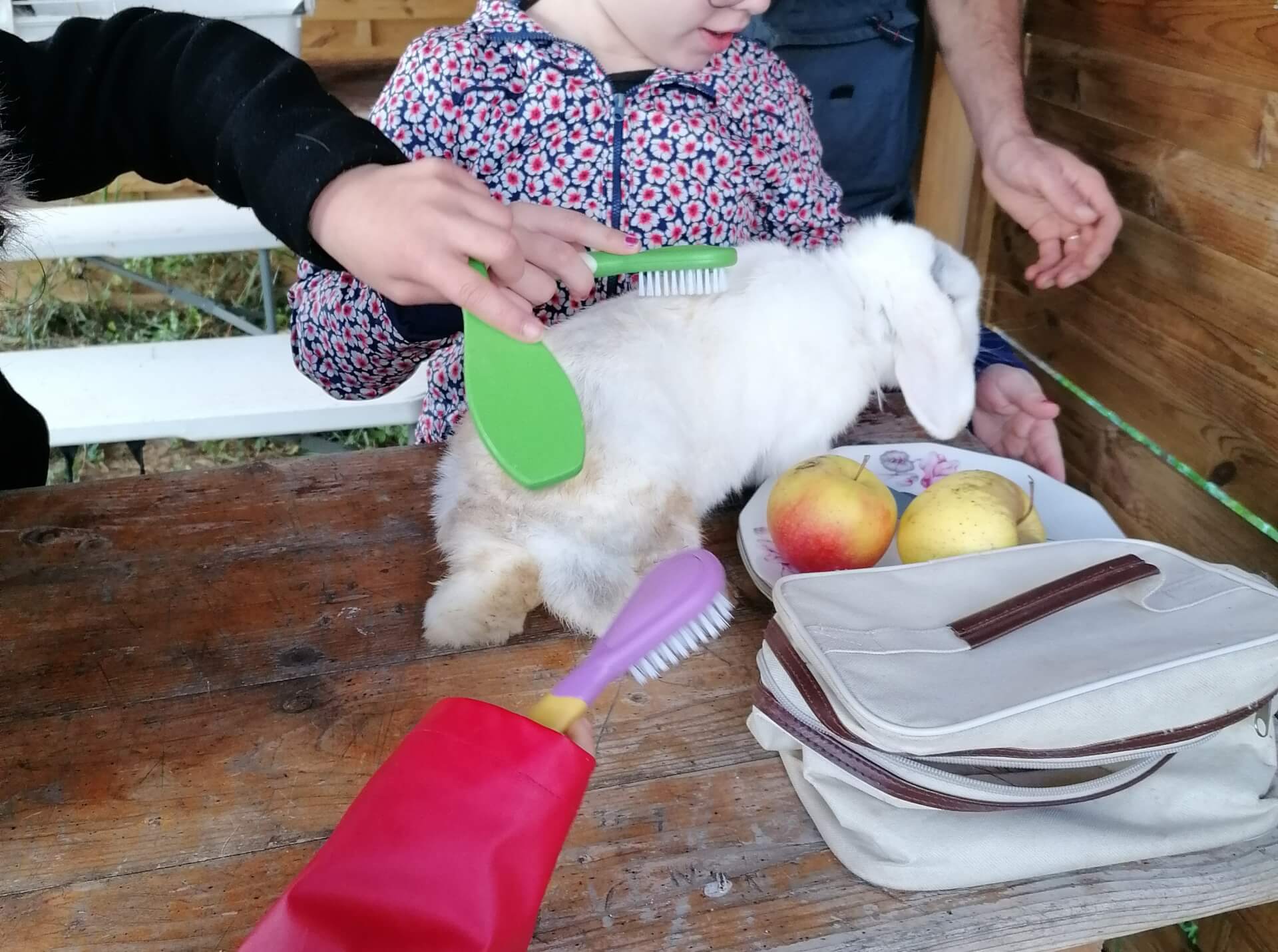 La contrée des minis