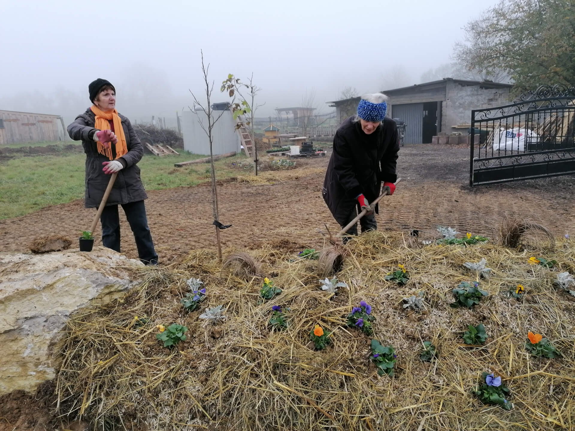 La contrée des minis