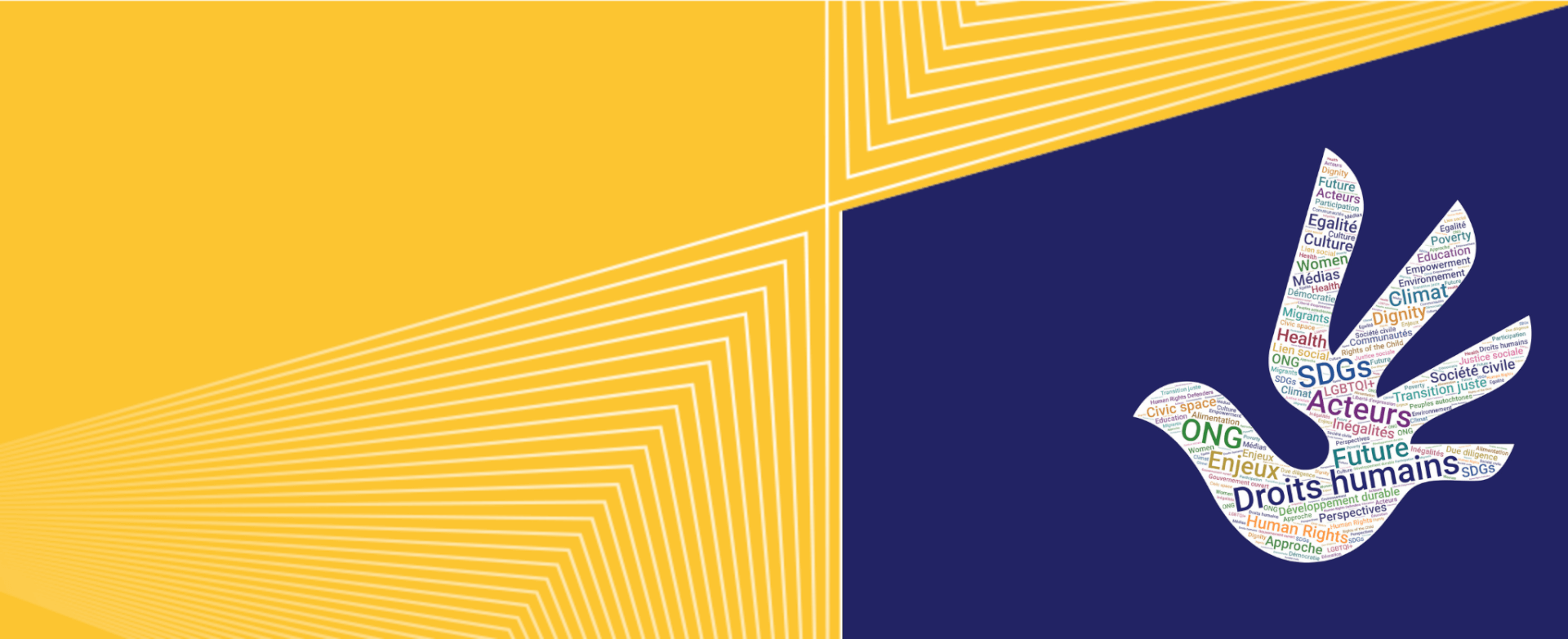 AFD - Human rights and sustainable development conference | Forus