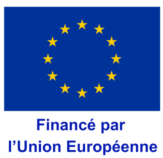 L’Europe s’engage en guyane avec le FSE+ | Pôle Ressources de Guyane