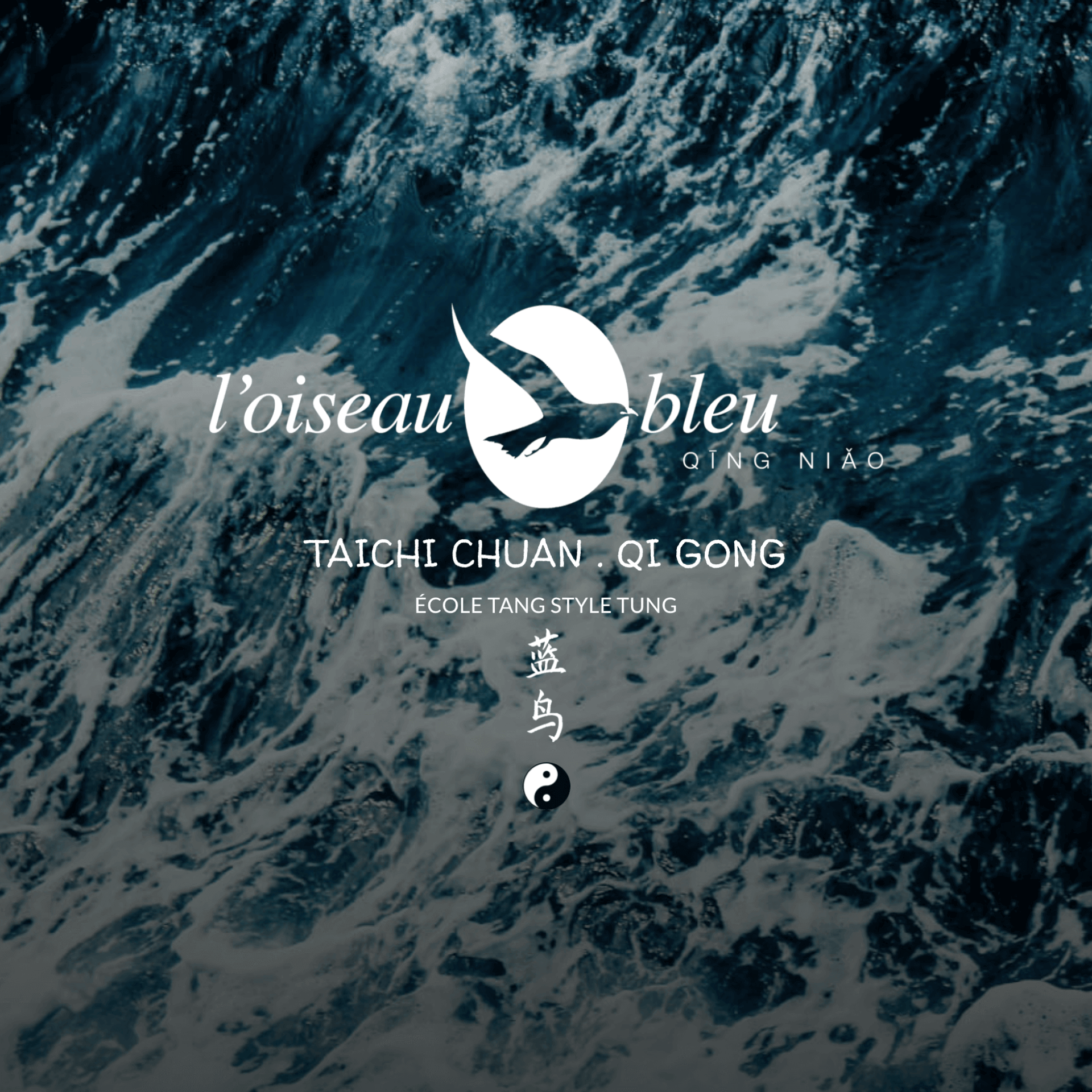 L'Oiseau Bleu | What The Web