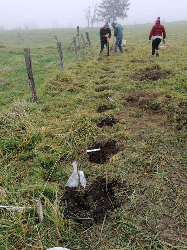 La contrée des minis