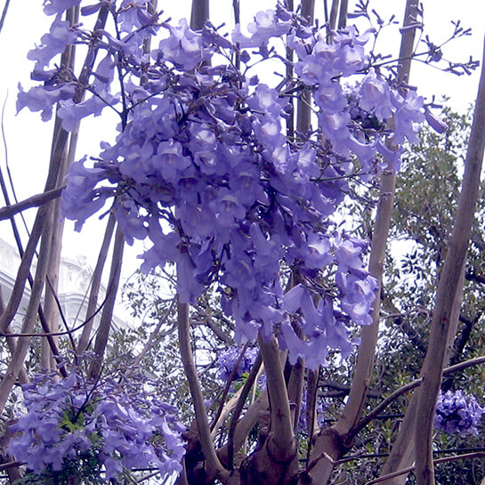 Tunisi... | Babelmed