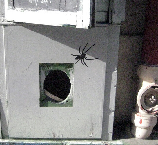 Cavare un ragno... | Babelmed