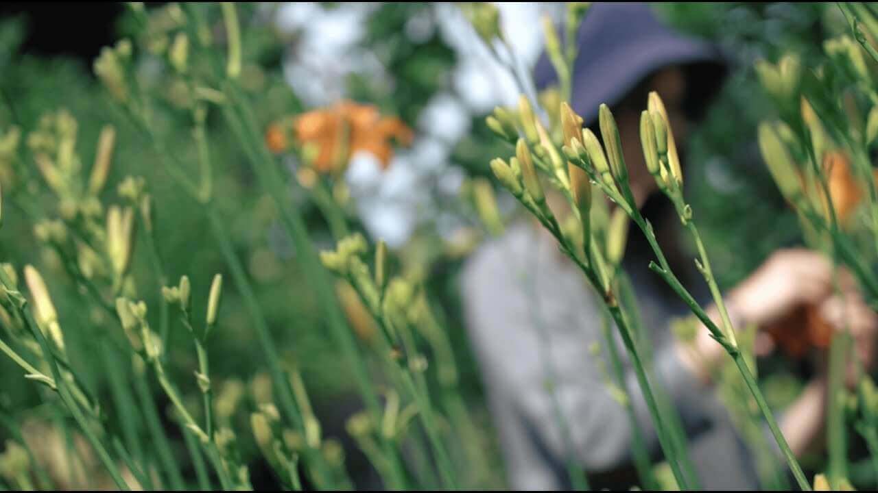 Un moment au jardin | Vidéact’ En mouvement vidéo