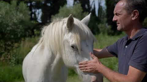 Présentation Agriculteur Camargue | Vidéact’ En mouvement vidéo