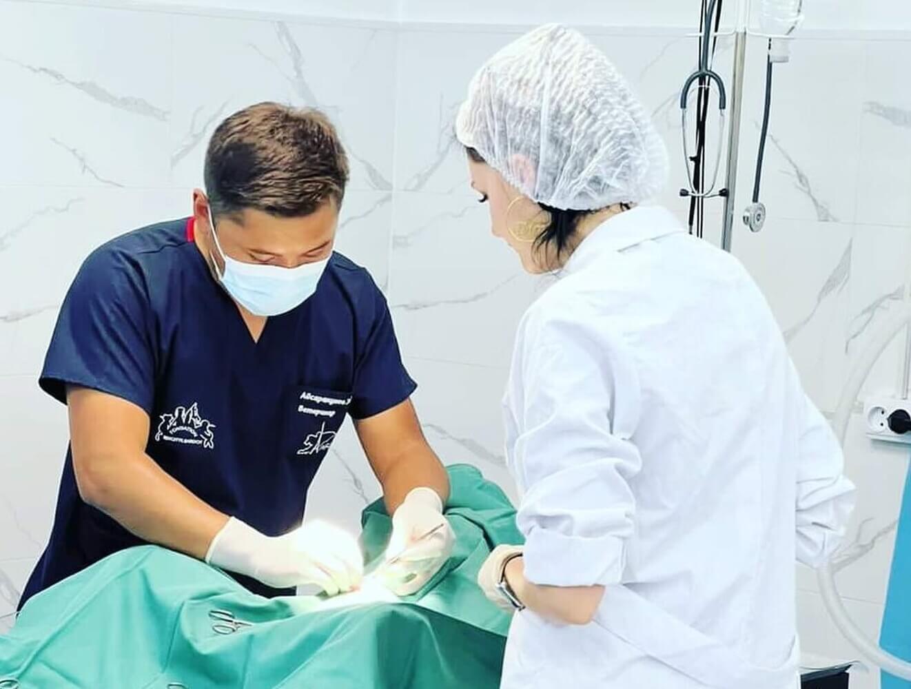 Стерилизация вместо отстрела. Успешный опыт города Кант — Today.kg | AFKE