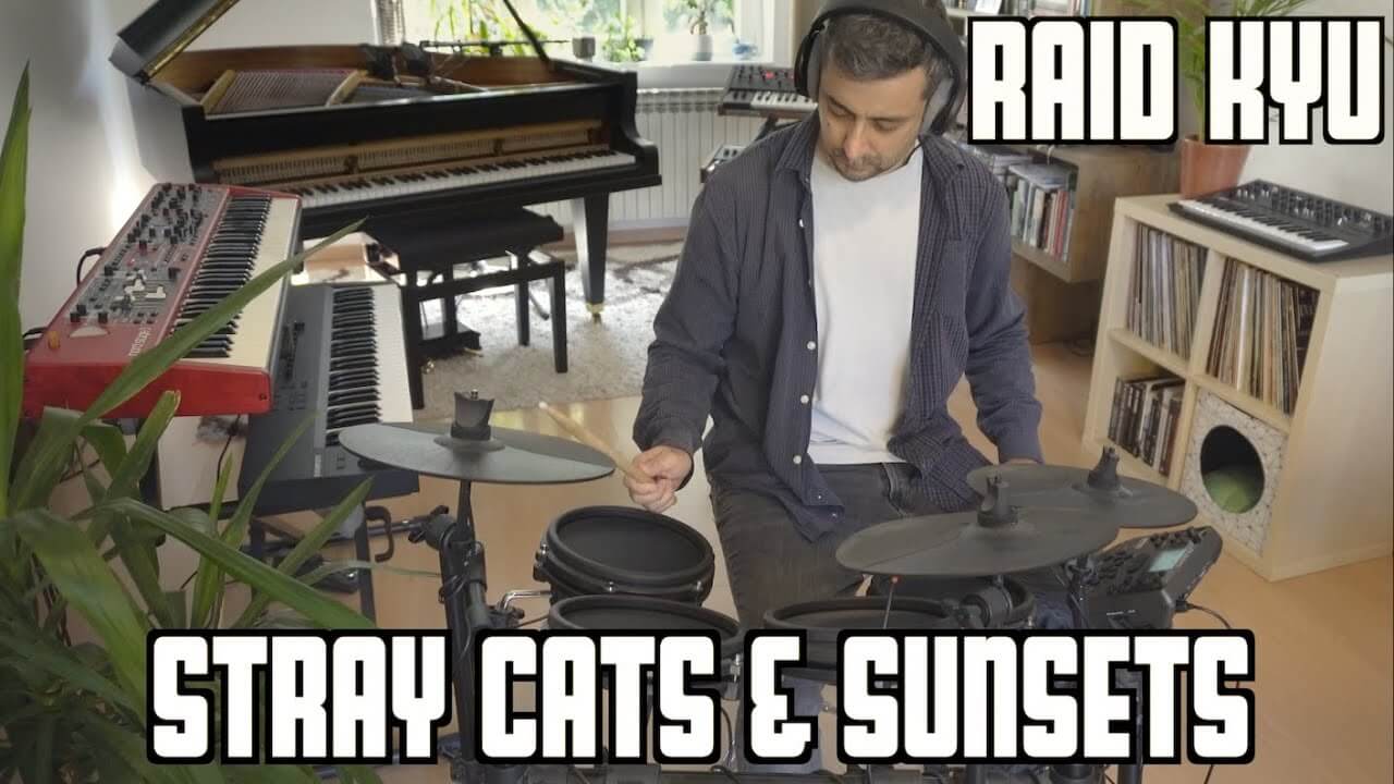 Raid Kyu "Stray Cats & Sunsets"