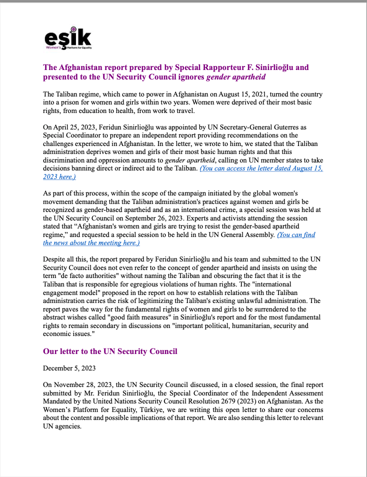 The Afghanistan report prepared by Special Rapporteur F. Sinirlioğlu and presented to the UN Security Council ignores gender apartheid. | EFI - EuroMed Feminist Initiative