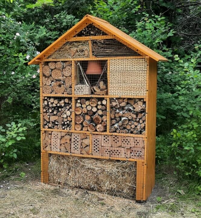 Insect hotel, compost bins, etc | AFKE