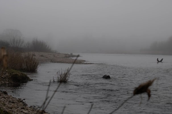 SORTIE NATURE : ESCAPADE A L'ETANG DE LANGATTE | La contrée des minis