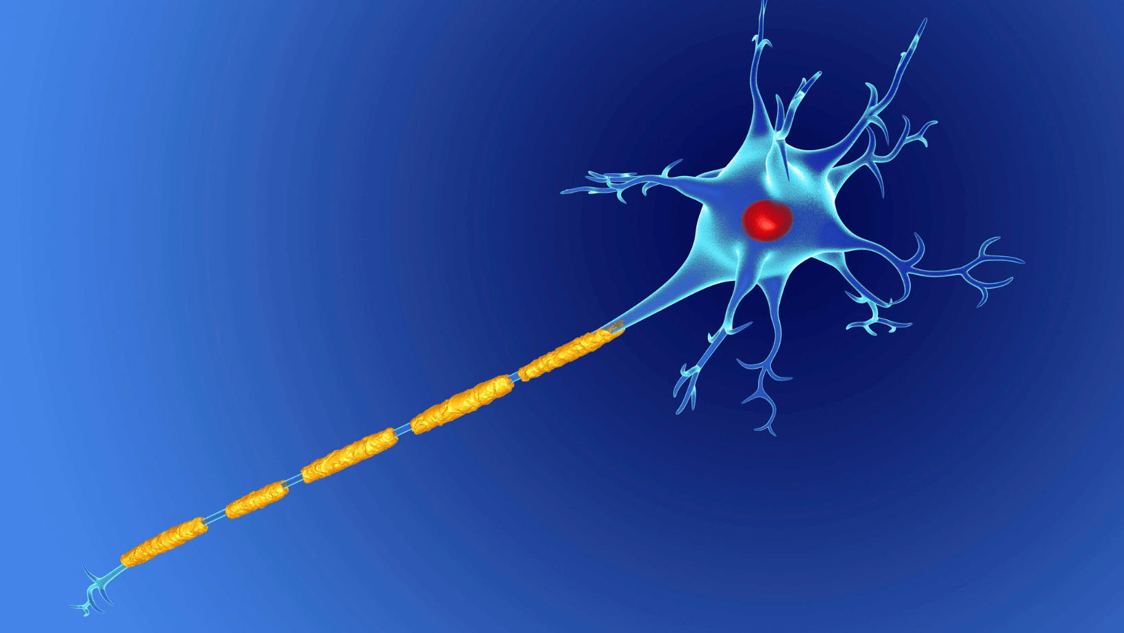 QUESTIONNAIRE : Recherche sur la prise en charge de la Sclérose En Plaques en libéral | Alizé - Syndicat de kinésithérapeutes