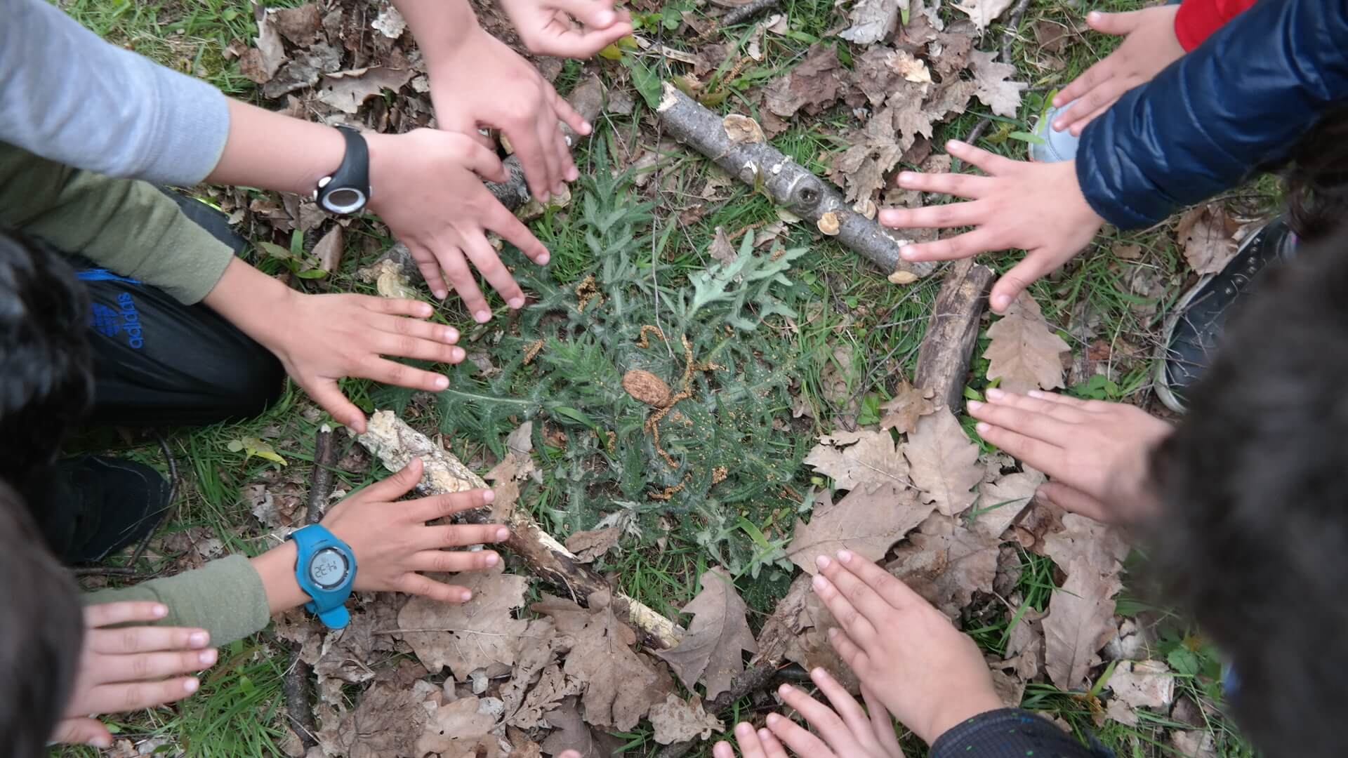 Citoyenneté | CARIA