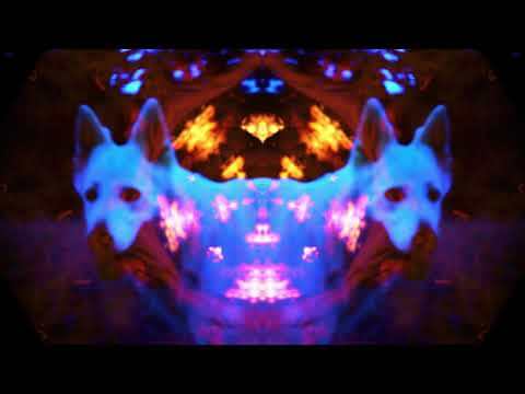 Cykada "The Cracks in the Bricks"