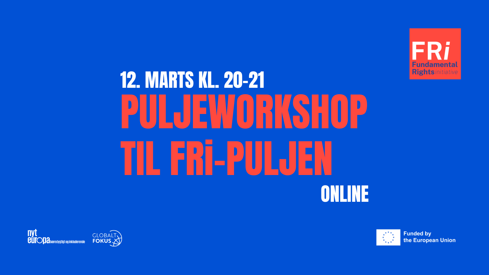 Fundamental Rights Initiative workshop | Forus