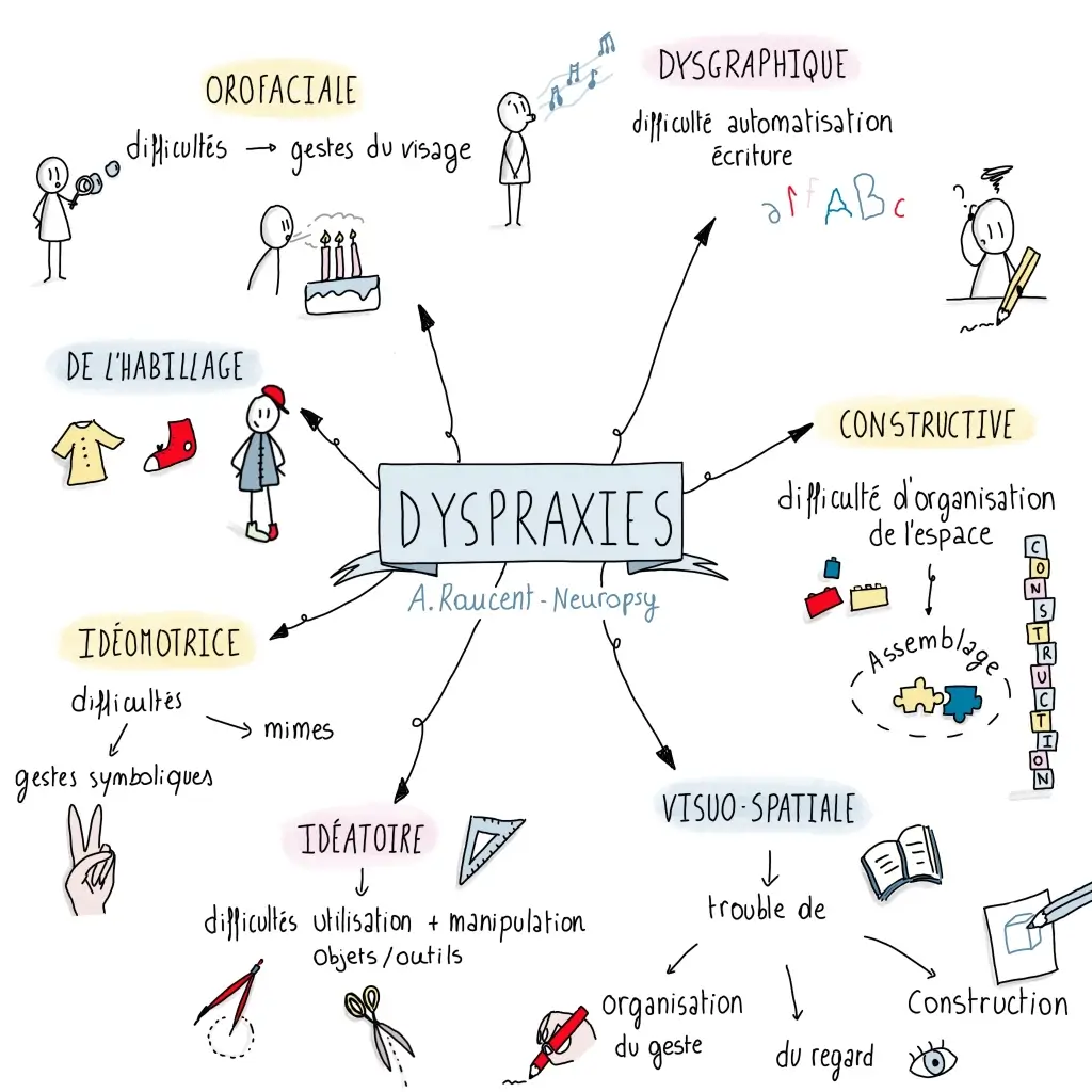 FDMF - Fédération Dyspraxique Mais Fantastique
