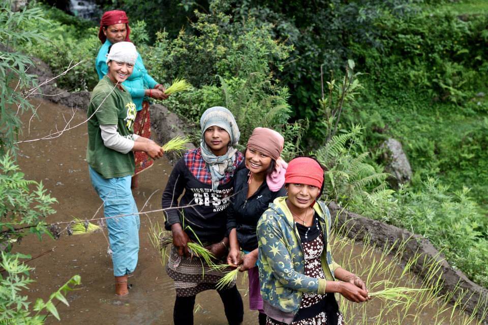 2023 Progressing National SDGs Implementation Report - Launch | Forus