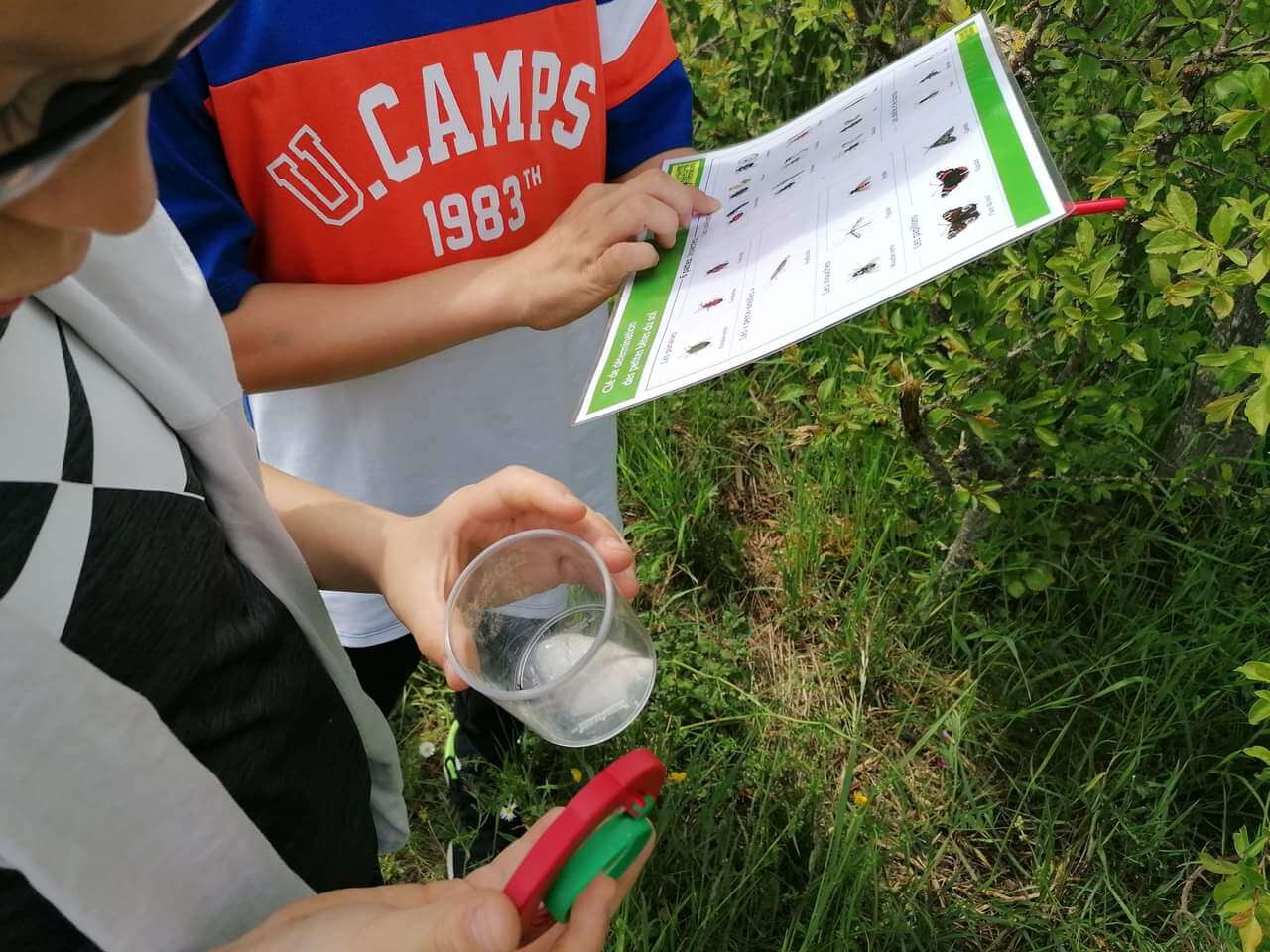 VISITE GUIDEE ET ATELIER PETITES BETES A LA CONTREE DES MINIS | La contrée des minis