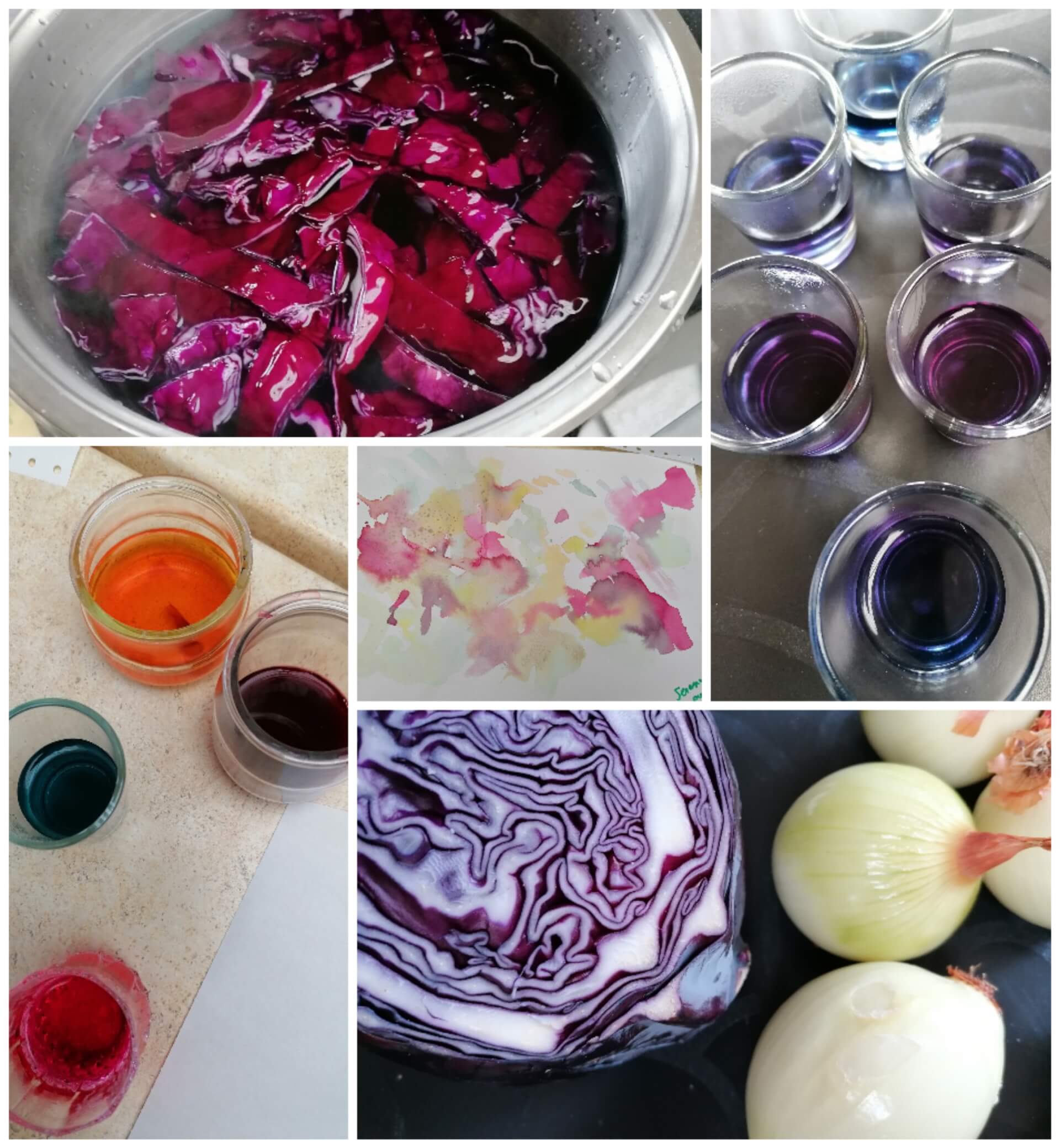 COMPLET - PEINTURES VEGETALES FAITES MAISON | La contrée des minis