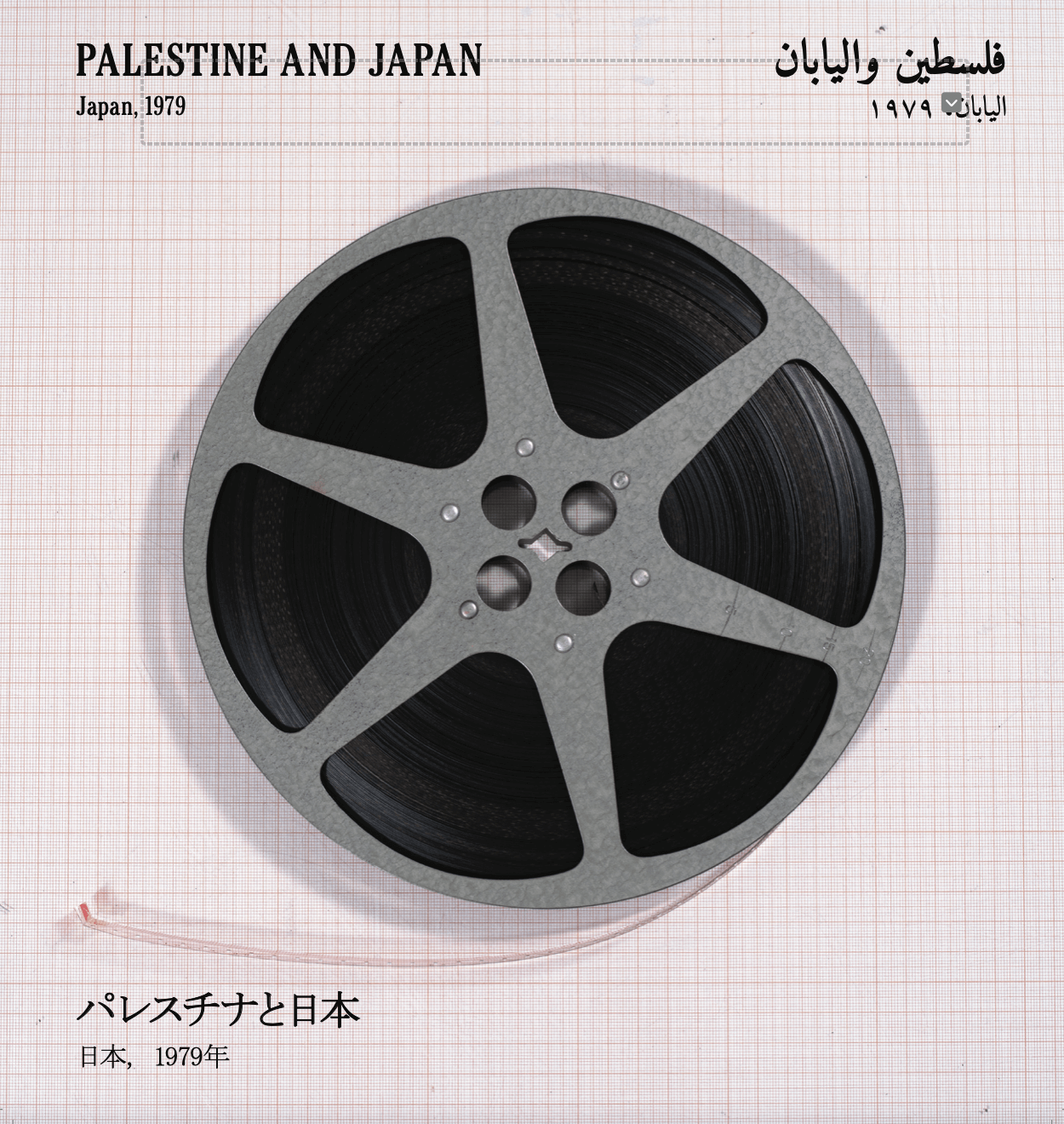 FOCUS “PALESTINE IN THE EYE”  - Conversation Mohanad Yaqubi avec Rasha Salti | Festival Ciné-Palestine - FCP