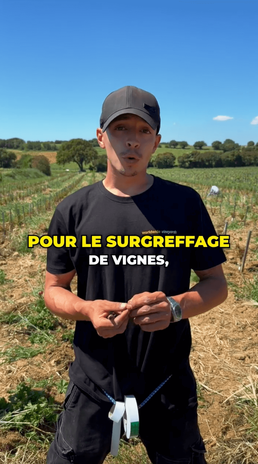 Surgreffage | Vidéact’ En mouvement vidéo