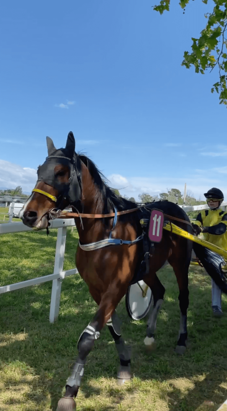 Hippodrome Roberty | Vidéact’ En mouvement vidéo