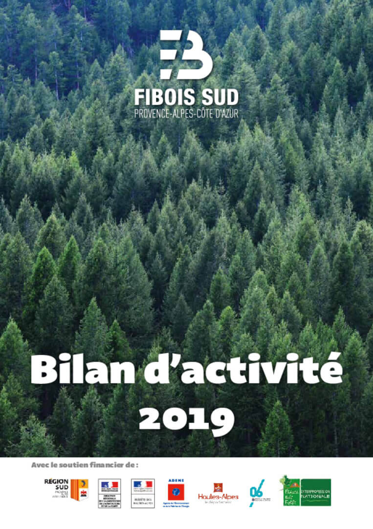 Rapport d'activité 2019 | Fibois Sud