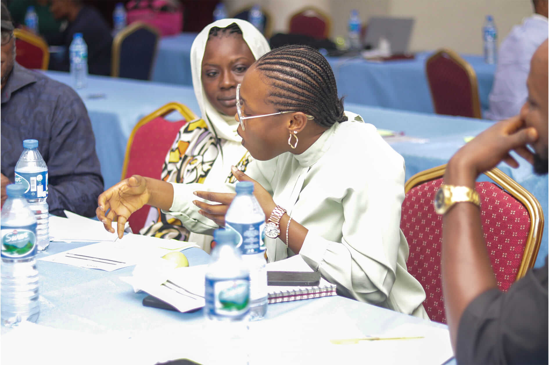 Policy Brief- The Influence of PDBs to Strengthening Financial Sector's Role in Development - NNNGO | Forus