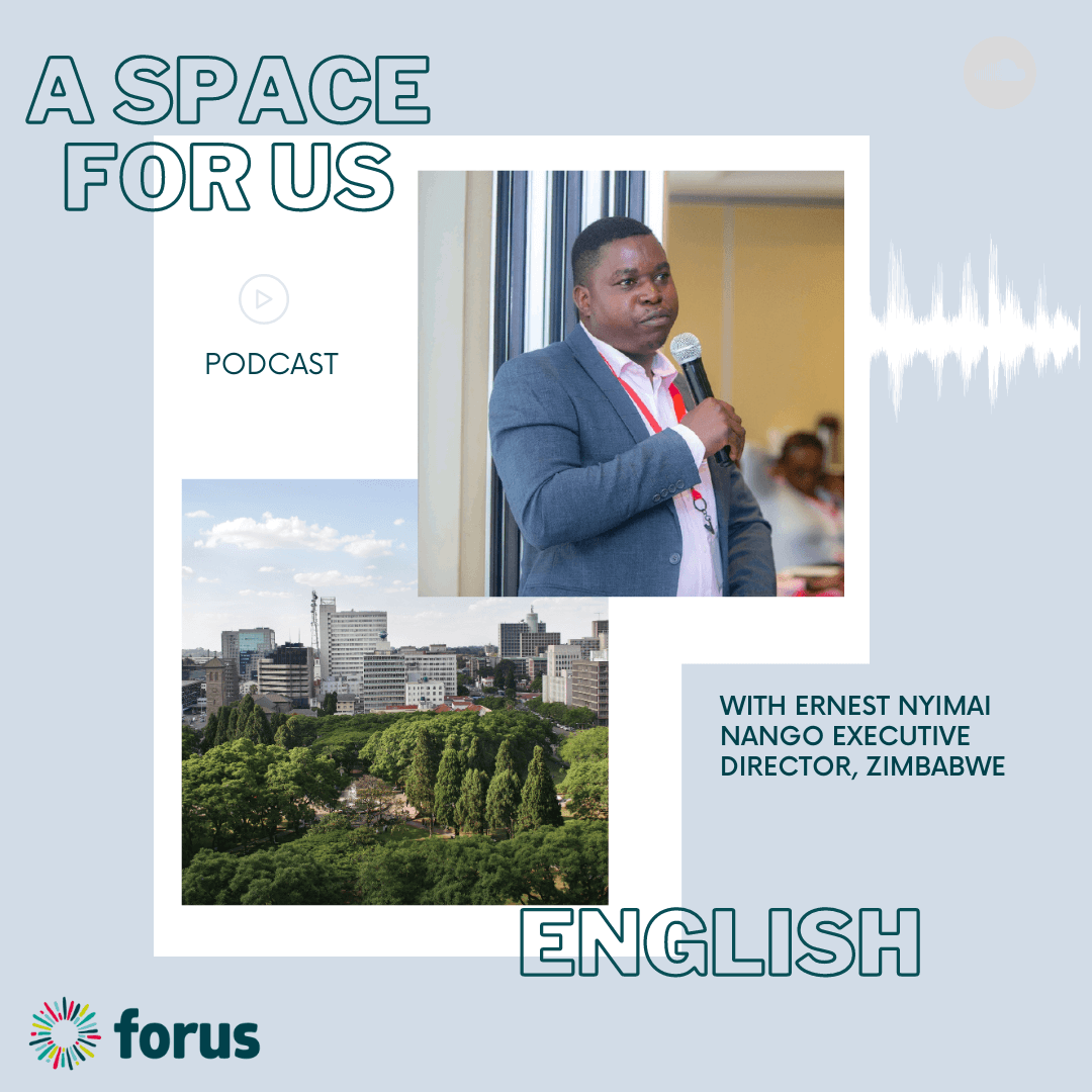 EN - NANGO in the Voluntary National Review Process in Zimbabwe