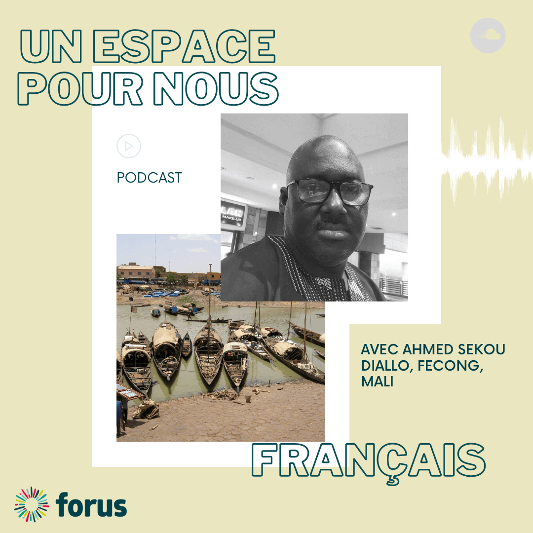 FR - FECONG sur la mise en oeuuvre des ODD au Mali | Forus